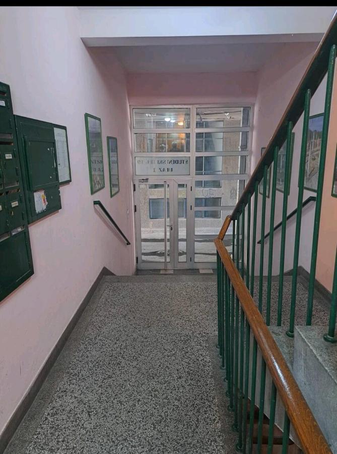 Apartman Milica 2023 Belgrád Kültér fotó